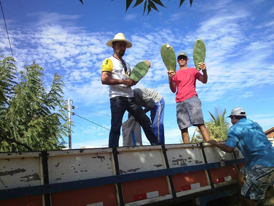 Produtores Rurais de Iuiu são beneficiados com mudas de palma e barragens subterrâneas
