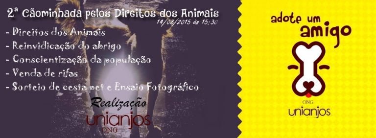 ONG PROMOVE CÃOMINHADA EM DEFESA DOS DIREITOS DOS ANIMAIS