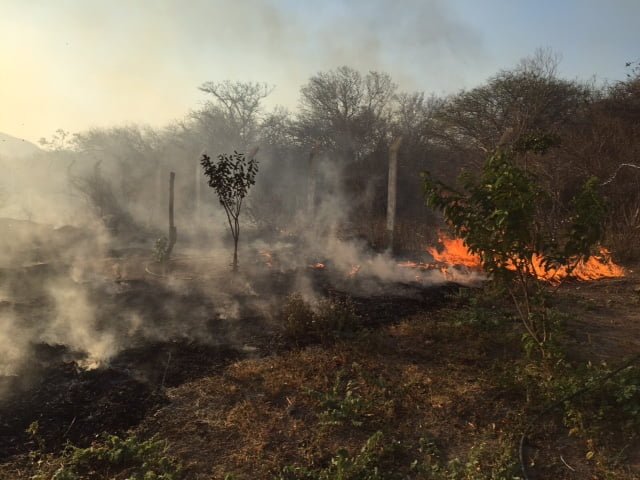 Incêndios causam prejuízos ambientais e econômicos em Guanambi