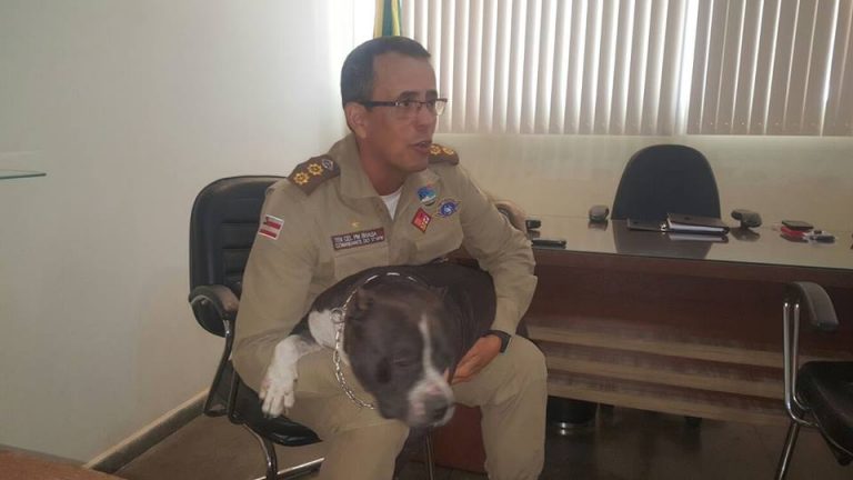 Comandante do 17º Batalhão recebe criadores de Pit bulls em Seu Gabinete