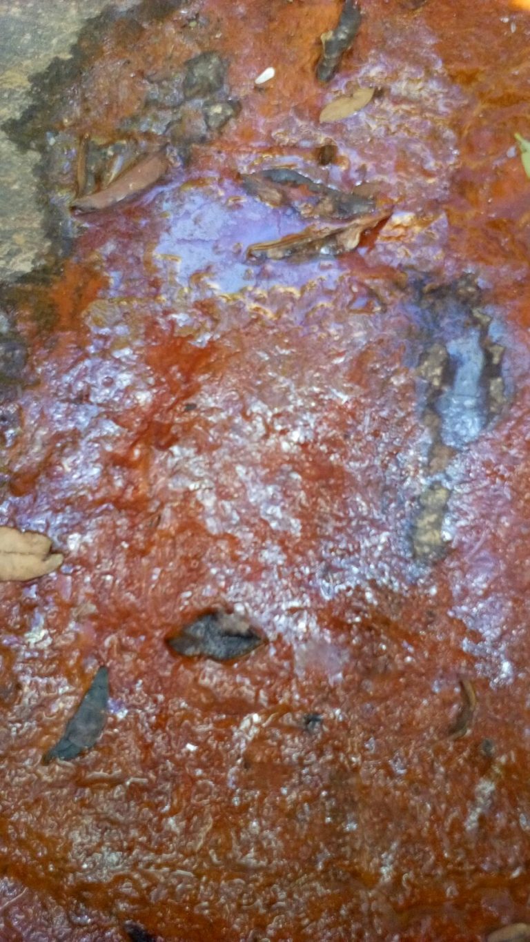 Renova nega contaminação da água da Barragem de Contendas em Pindaí