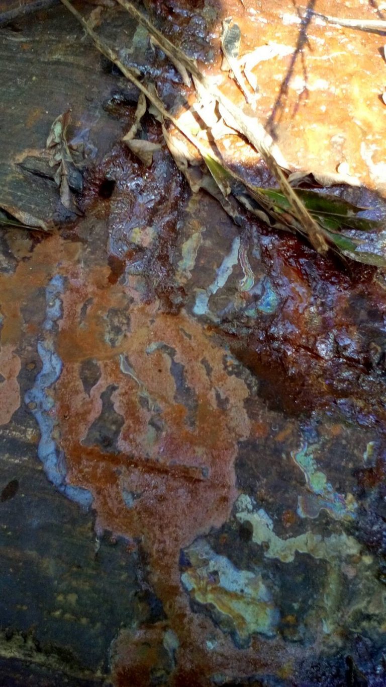 Moradores acusam empresa de poluir barragem em Pindaí, no sudoeste da Bahia