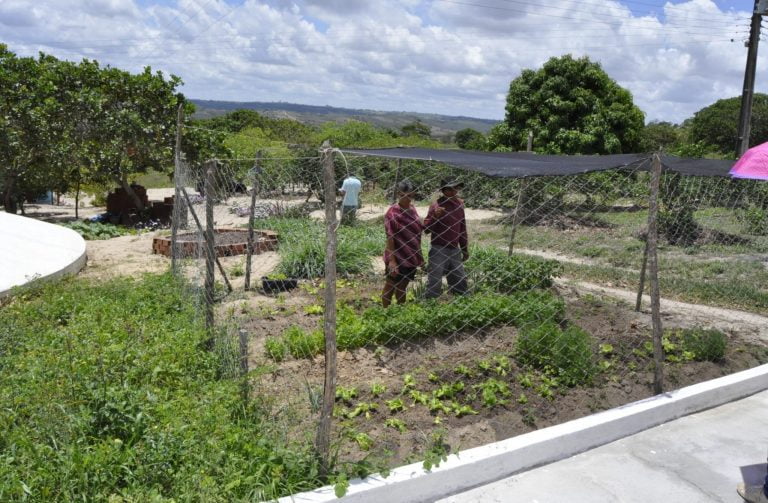 Mapa e CNPq vão financiar pesquisa em agroecologia e produção orgânica