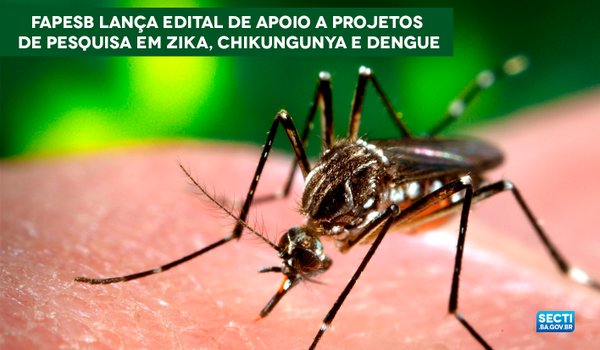 Fapesb lança edital de apoio a projetos de pesquisa em Zika, Chikungunya e Dengue