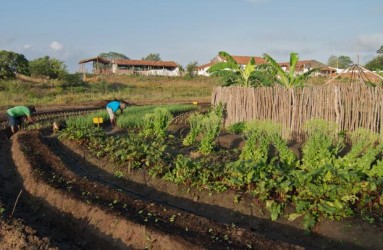 projetos para agricultura familiar linha de crédito coopergiro