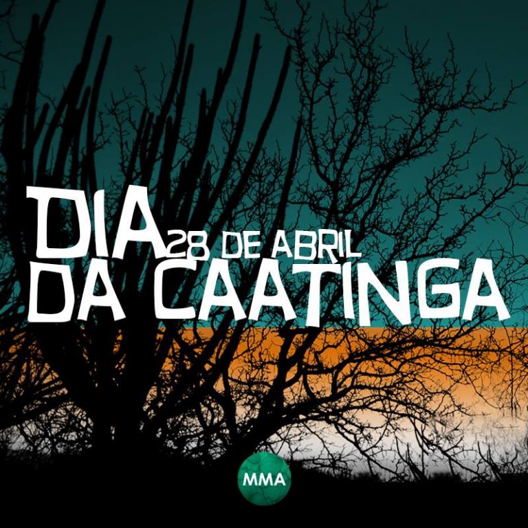 28 de Abril: Dia da Caatinga