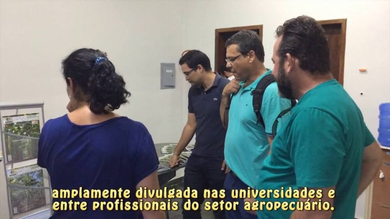IF Baiano Campus Guanambi é referência em pesquisa de bananicultura