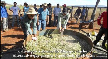 Vídeo: I Encontro da Ovinocultura em Mutans