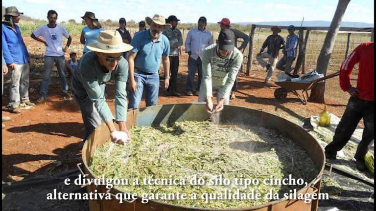 Vídeo: I Encontro da Ovinocultura em Mutans