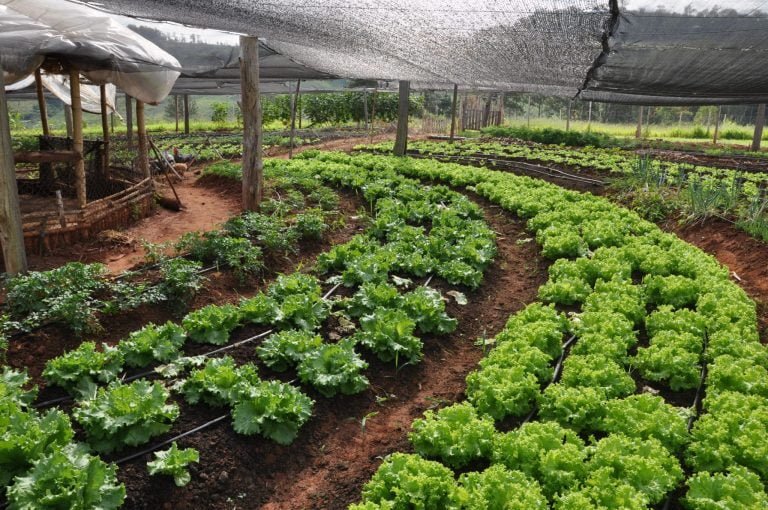 Sociedade Civil poderá contribuir com Política Estadual de Agroecologia da Bahia