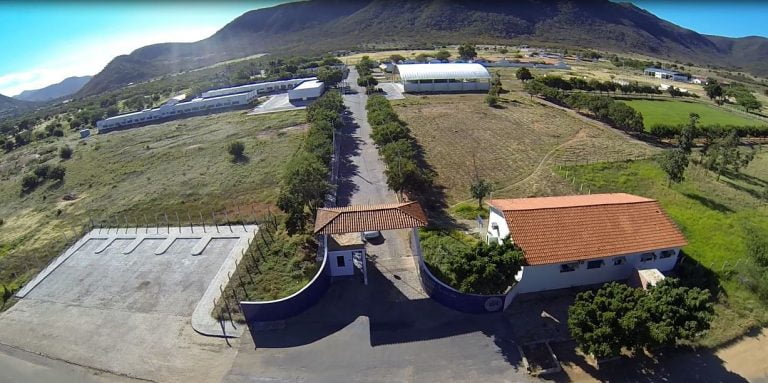 Sindicato comunica greve por tempo determinado no IF Baiano Campus Guanambi