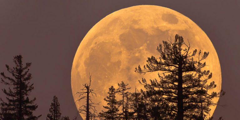 Superlua da próxima segunda-feira será a maior do século 21