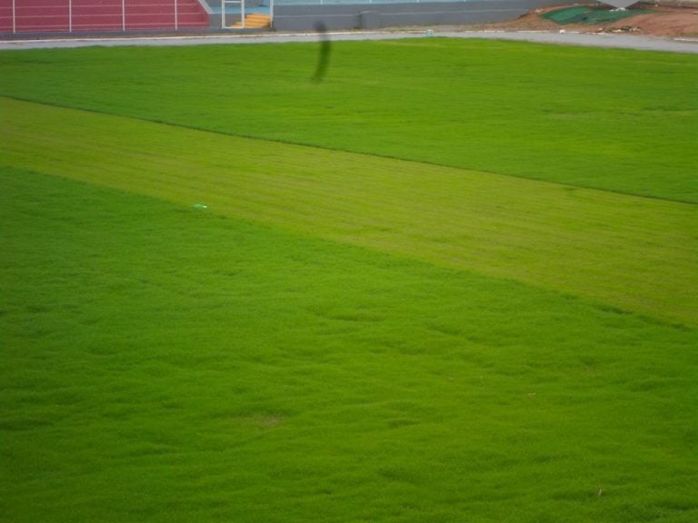 Novo gramado do Estádio Dois de Julho está quase pronto e Flamengo de Guanambi anuncia primeiros nomes do elenco