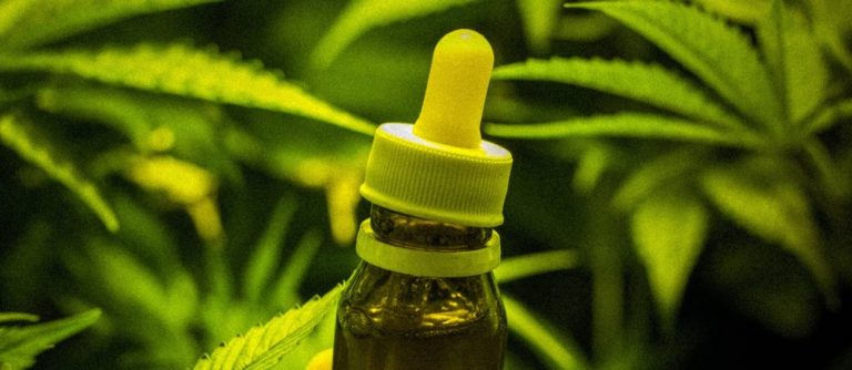Anvisa irá discutir uso de derivado de maconha em medicamentos