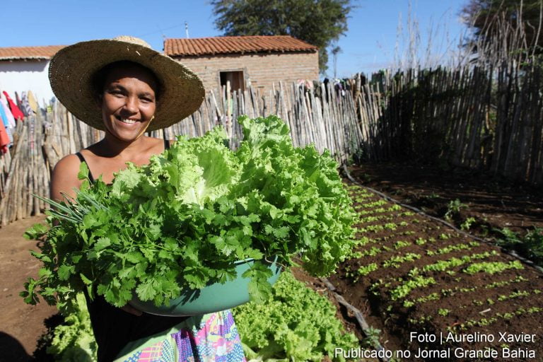 Governo da Bahia anuncia editais com R$98 milhões para agricultura familiar