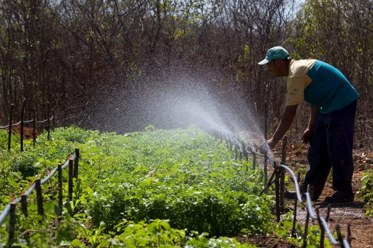 Governo Edital emergencial de R$ 15 milhões beneficia agricultores familiares