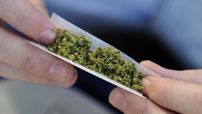 Uruguai da início a registro de compradores de maconha