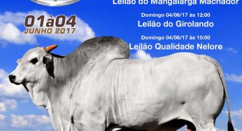 Leilões movimentam negócios na Expo Guanambi