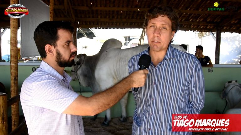 Leilões da Expo Guanambi acontecem neste sábado e domingo