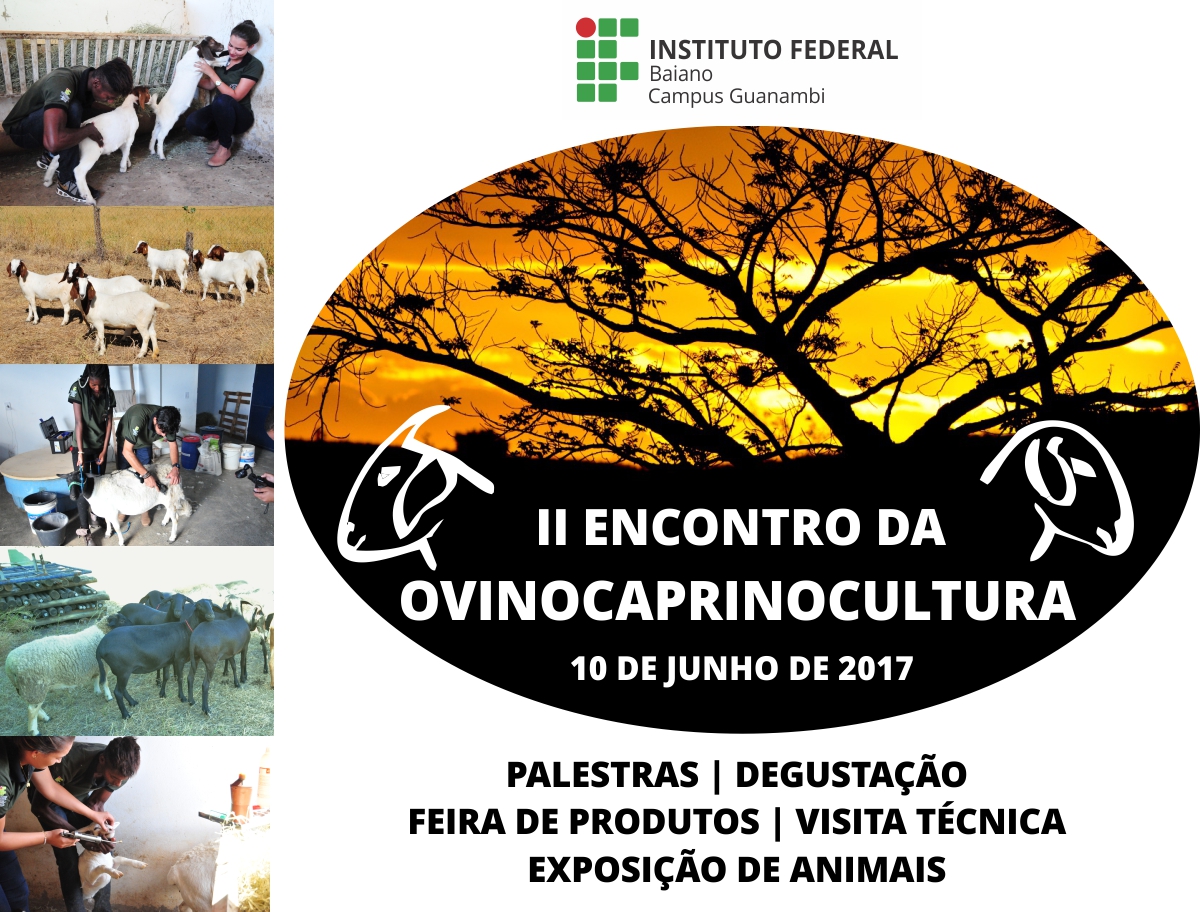 IF Baiano promove II Encontro do Ovinocaprinocultura no próximo dia 10