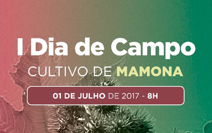 IF Baiano realiza Dia de Campo Sobre Cultivo de Mamona