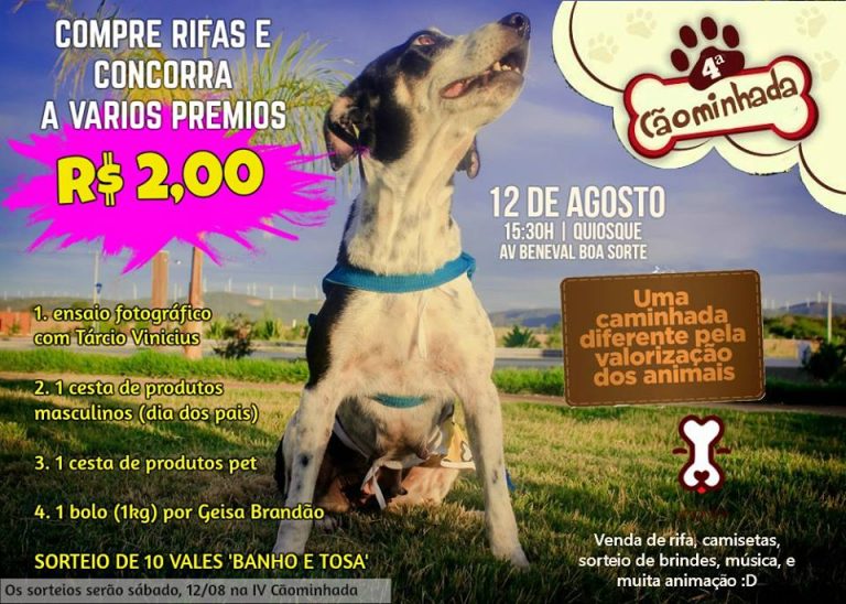 Guanambi: ONG realiza caminhada em favor dos animais