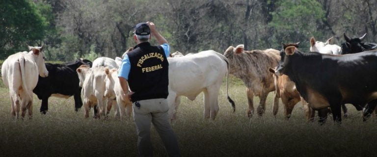 Ministério da Agricultura publica edital de concurso com 300 vagas com salário de R$ 14,5 mil
