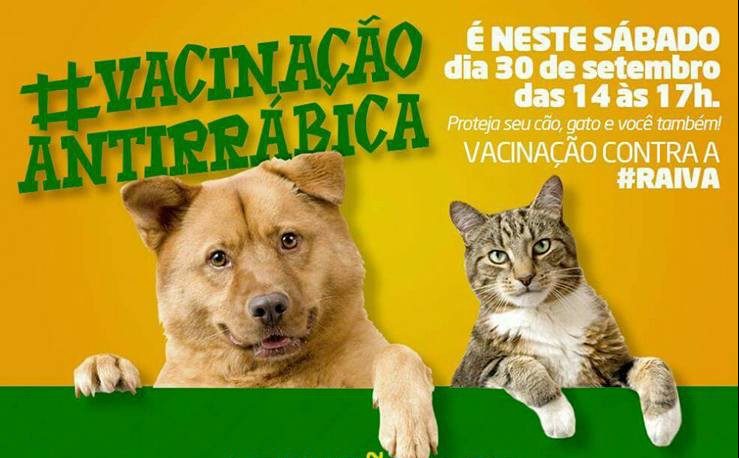 Vacinação de cães e gatos contra a raiva terá mais uma etapa neste sábado (30)