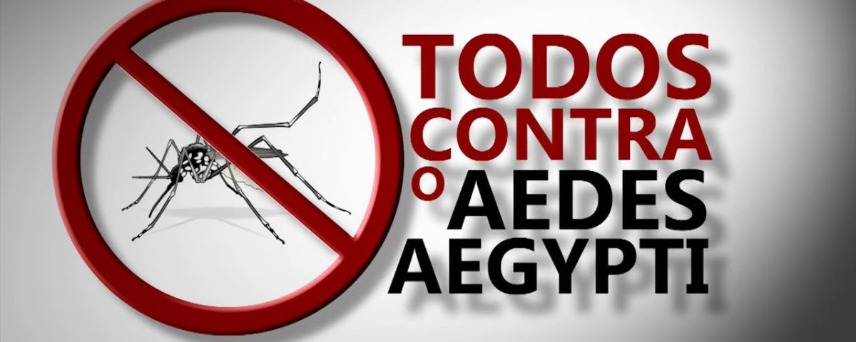 Salvador está em alerta para surto de dengue, zika e chikungunya