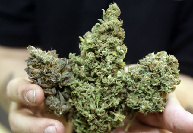 Pacientes estão demandando uso medicinal da cannabis, dizem médicos