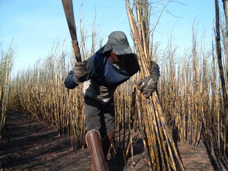 Governo recua e endurece regras de fiscalização do trabalho escravo