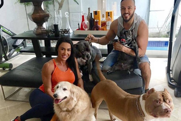 Cantor Belo é atacado por cachorros e cancela show