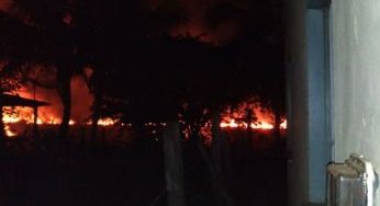 Vegetação perto da praia é atingida por fogo em Maraú