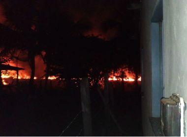 Vegetação perto da praia é atingida por fogo em Maraú