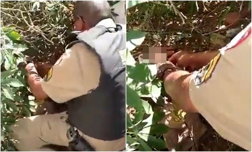 Policiais resgatam recém-nascido abandonado em matagal; Veja o vídeo