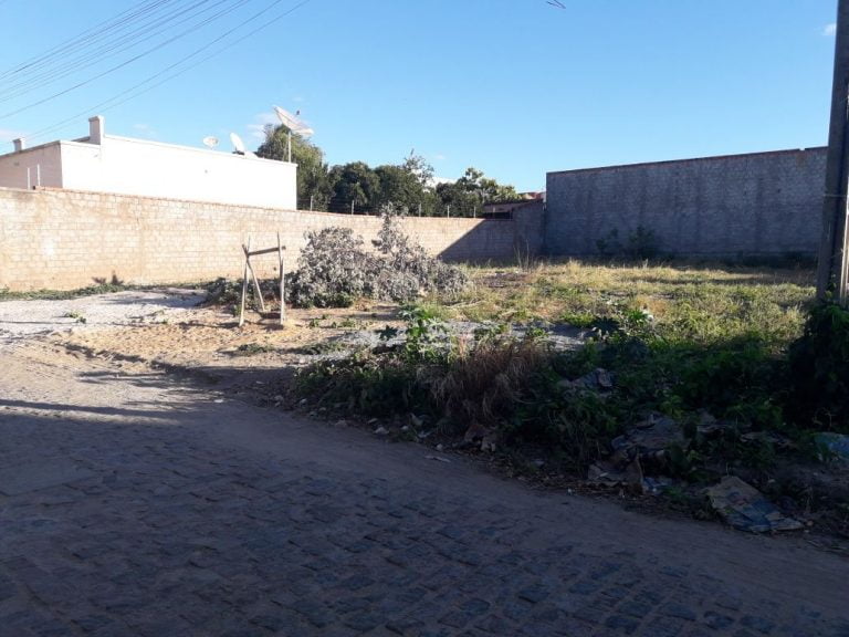 Prefeitura notifica proprietários de lotes abandonados para realização de limpeza, descumprimento irá gerar multa