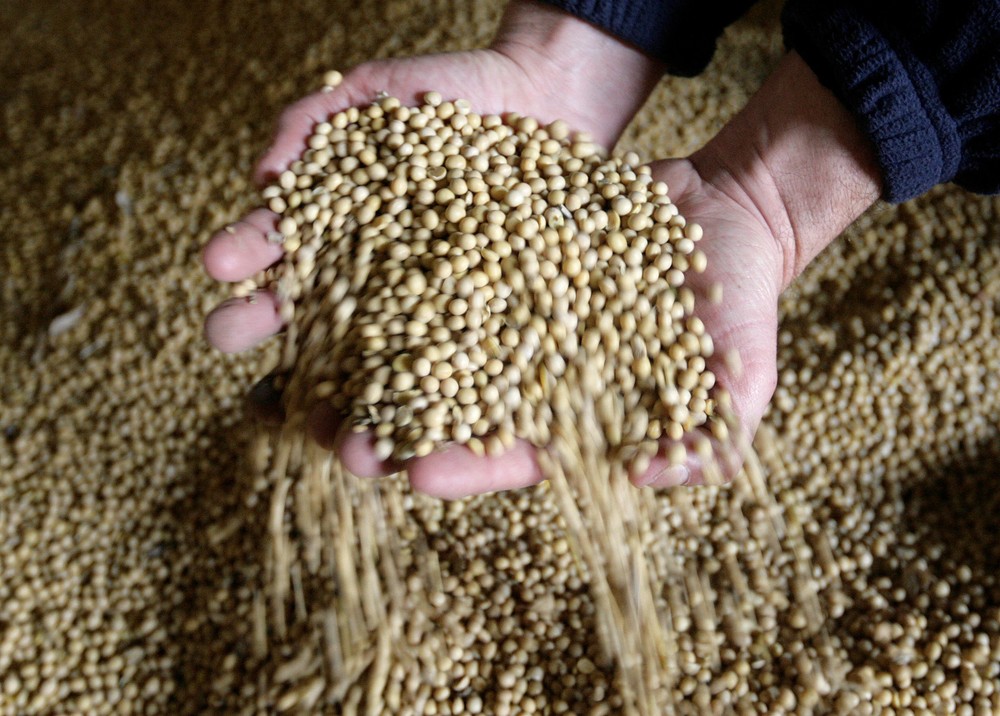 Oeste baiano bate recorde produzindo 6 mi de toneladas de soja