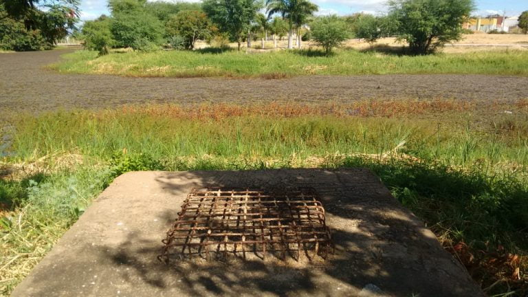 Área de lazer e prática de esportes, Parque da Cidade sofre com problemas estruturais