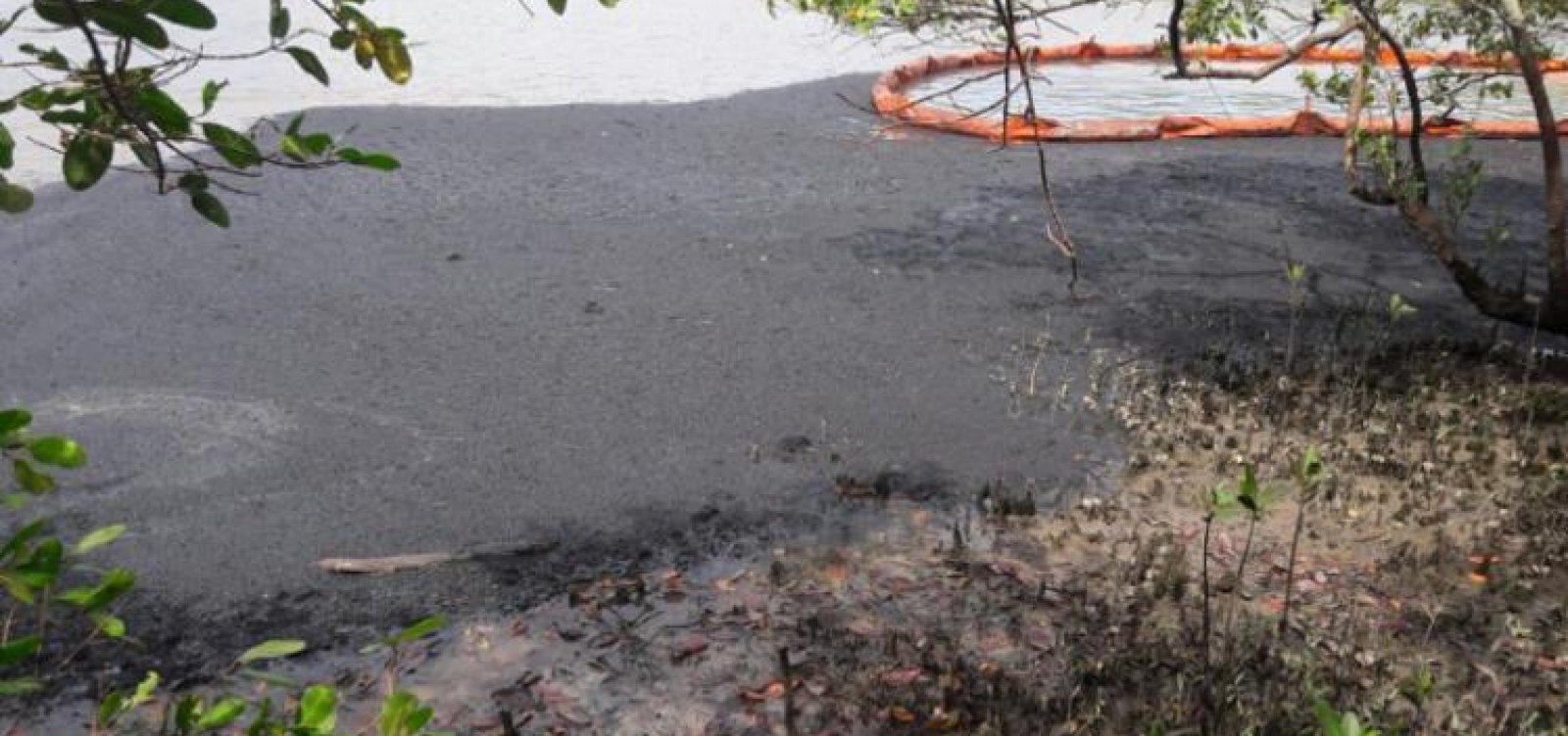 Vazamento de óleo causa problemas ambientais na Região Metropolitana de Salvador