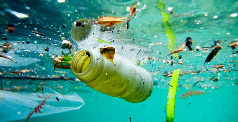 Poluição do plástico é desafio para o Dia Mundial do Meio Ambiente