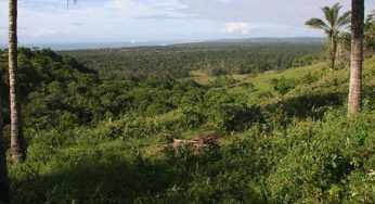 Ferramenta de inteligência geográfica vai monitorar vegetação na Bahia