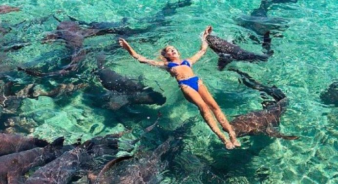 Estudante é mordida por tubarão durante sessão de fotos nas Bahamas