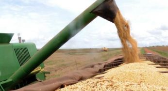 IBGE prevê safra de grãos 1,7% maior no próximo ano