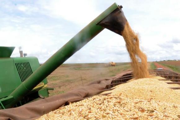 Com 238,5 milhões de toneladas, Conab estima recorde da safra de grãos
