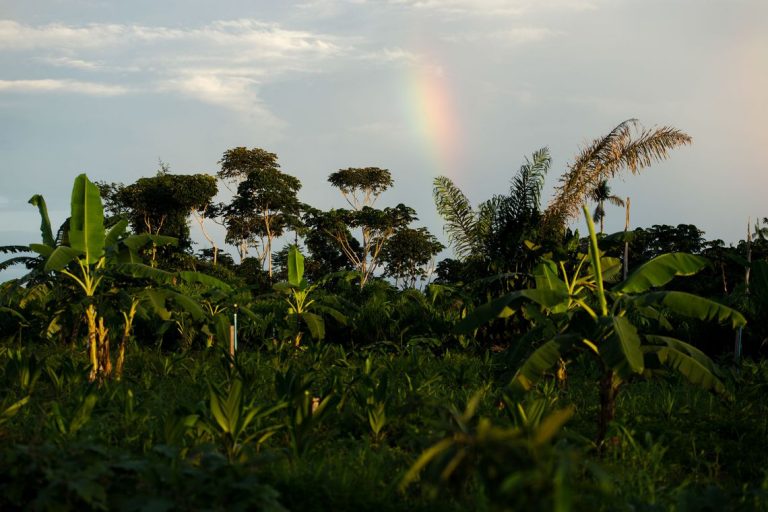 Agrônomo diz que agricultor preserva um quarto do território nacional