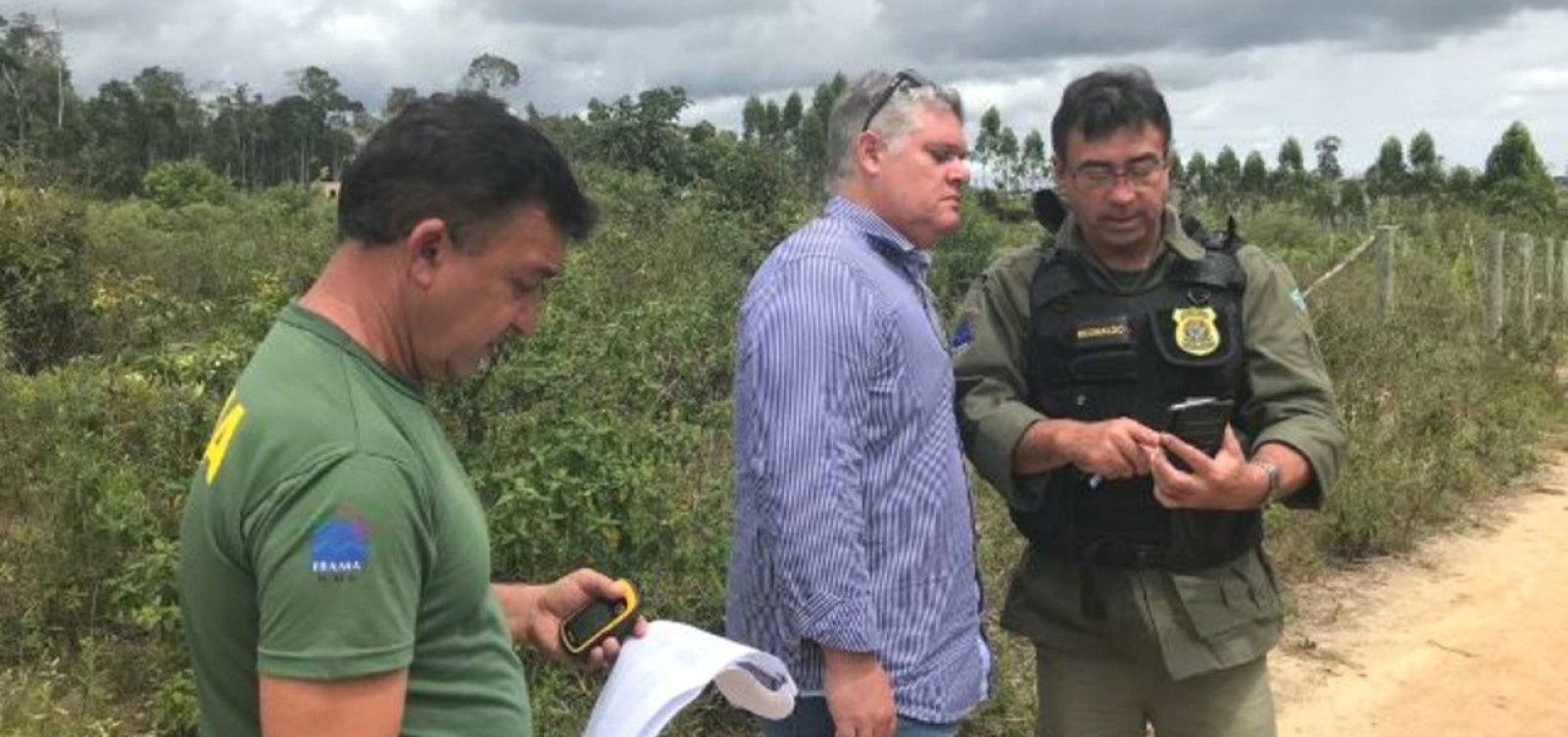 Operação investiga desmatamentos na Bahia e em outros 14 estados