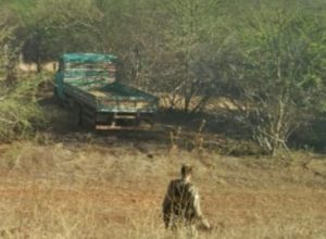 Guanambi: Caminhão furtado é localizado na zona rural do município