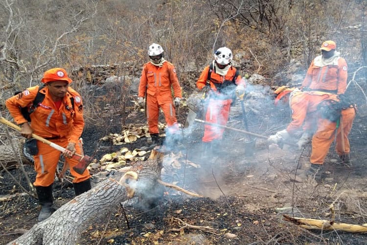 Bombeiros combatem incêndio florestal de grande proporção na Serra de Maria Roxa em Paramirim