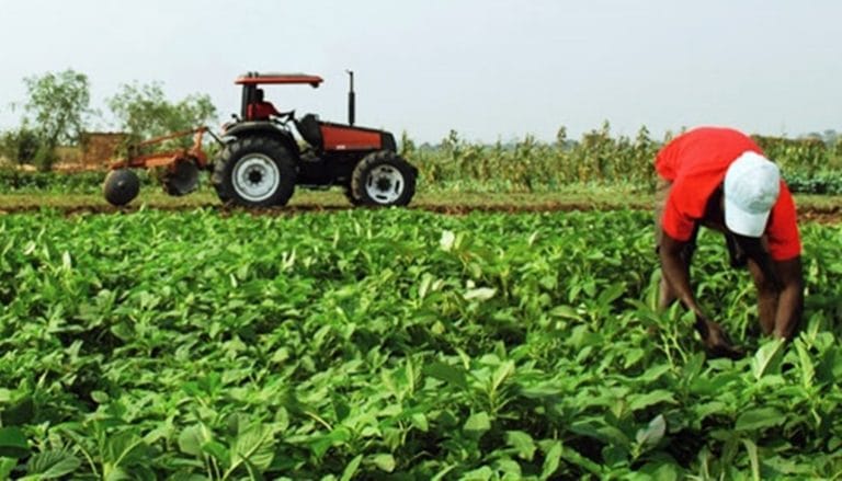 Convênios do Bahia Produtiva são assinados em Vitória da Conquista