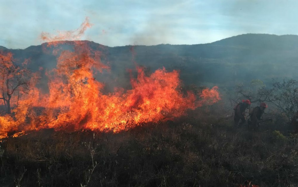 ICMBio terá reforço de brigadistas para combater incêndio florestal